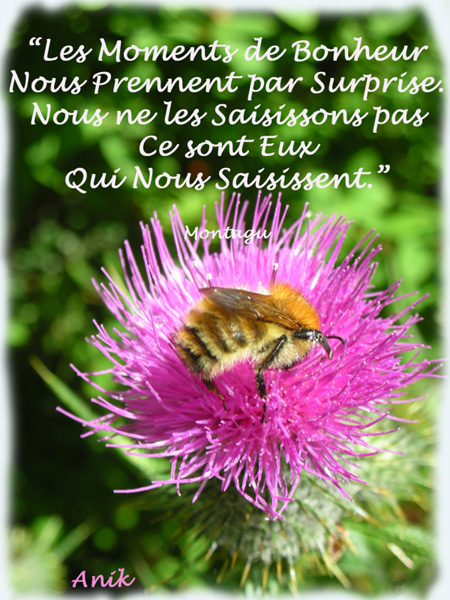 Image hébergée par Casimages.com : votre hébergeur d images simple et gratuit
