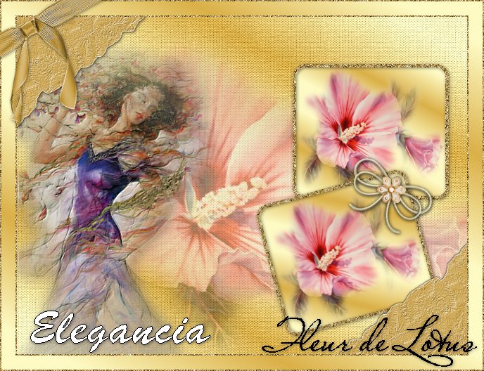 Image hébergée par Casimages.com : votre hébergeur d images simple et gratuit
