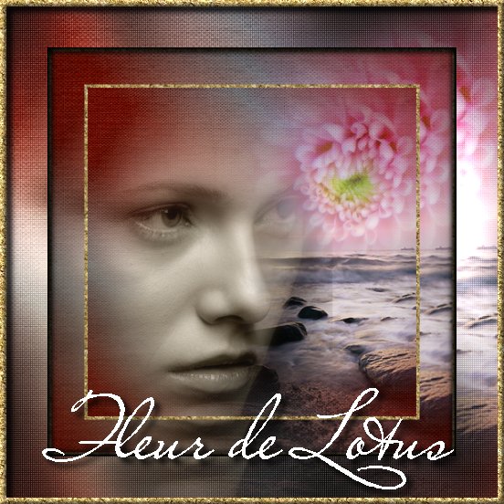 Image hébergée par Casimages.com : votre hébergeur d images simple et gratuit