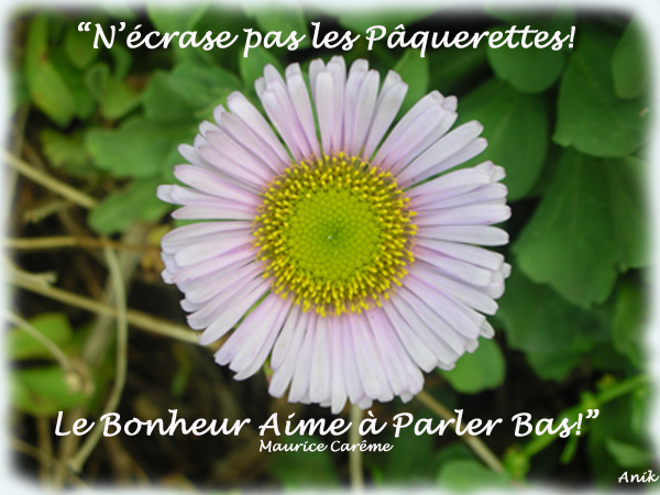 Image hébergée par Casimages.com : votre hébergeur d images simple et gratuit