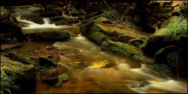 Image hébergée par Casimages.com : votre hébergeur d images simple et gratuit