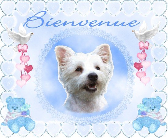 Image h�berg�e par Casimages.com : votre h�bergeur d images simple et gratuit