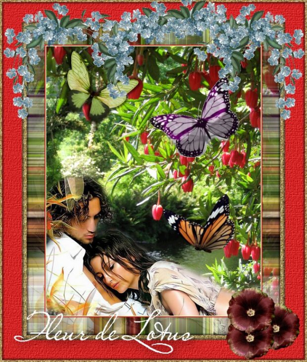 Image hébergée par Casimages.com : votre hébergeur d images simple et gratuit