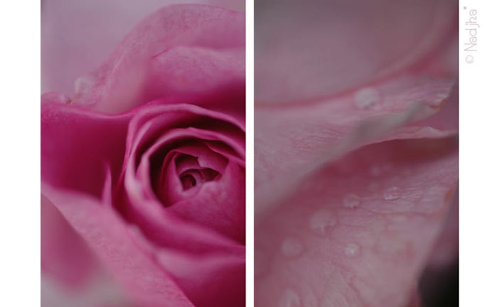 Image hébergée par Casimages.com : votre hébergeur d images simple et gratuit