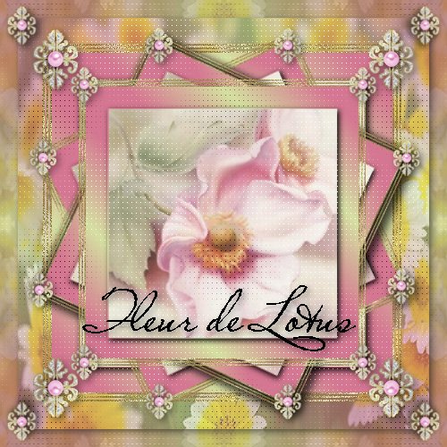 Image hébergée par Casimages.com : votre hébergeur d images simple et gratuit
