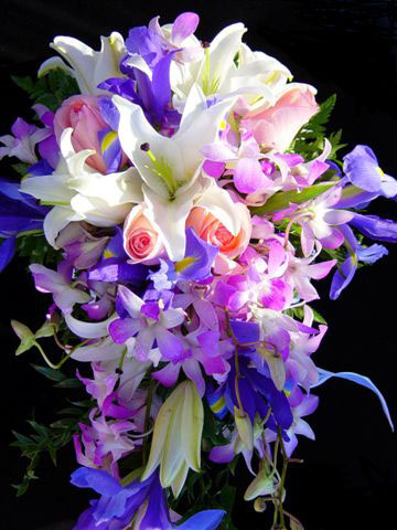 http://www.casimages.com/img/jpg/0709171058091248257.jpg