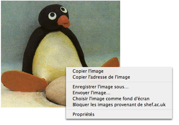 Image
