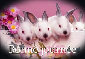 http://www.casimages.com/img/jpg/070919033029131521252439.jpg