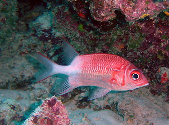 Image hébergée par Casimages.com : votre hébergeur d images simple et gratuit