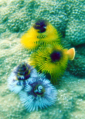 Image hébergée par Casimages.com : votre hébergeur d images simple et gratuit