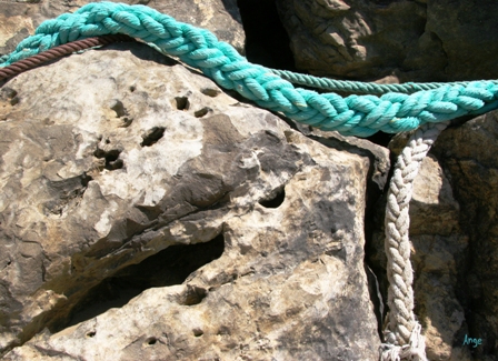 Image hébergée par Casimages.com : votre hébergeur d images simple et gratuit