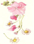 Image hébergée par Casimages.com : votre hébergeur d images simple et gratuit