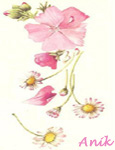 Image hébergée par Casimages.com : votre hébergeur d images simple et gratuit