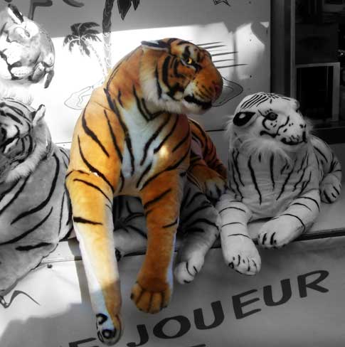 Image hébergée par Casimages.com : votre hébergeur d images simple et gratuit