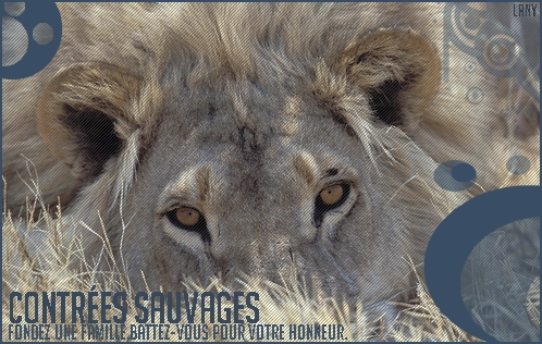[ Contr�es Sauvages ]