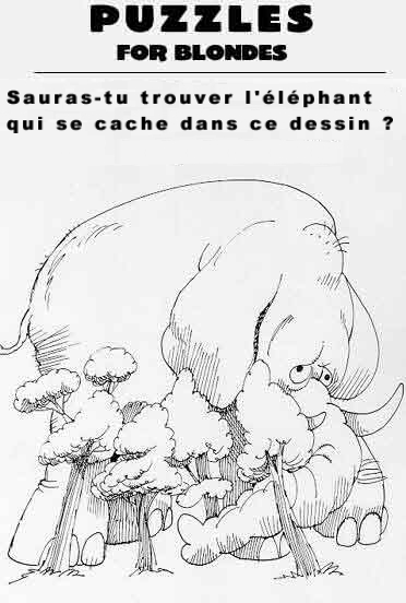 Image hébergée par Casimages.com : votre hébergeur d images simple et gratuit