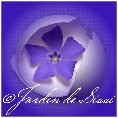 Image hébergée par Casimages.com : votre hébergeur d images simple et gratuit