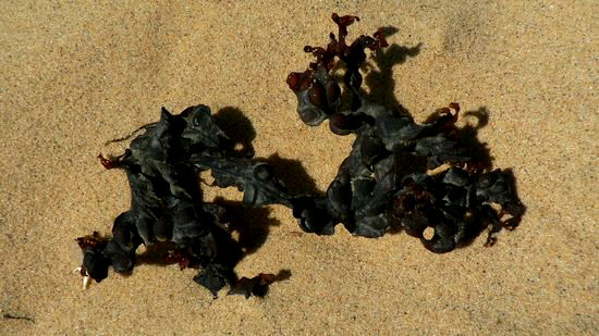 Image h&eacute;berg&eacute;e par Casimages.com : votre h&eacute;bergeur d images simple et gratuit