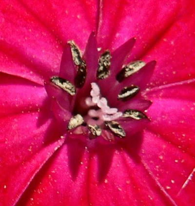 Image h&eacute;berg&eacute;e par Casimages.com : votre h&eacute;bergeur d images simple et gratuit