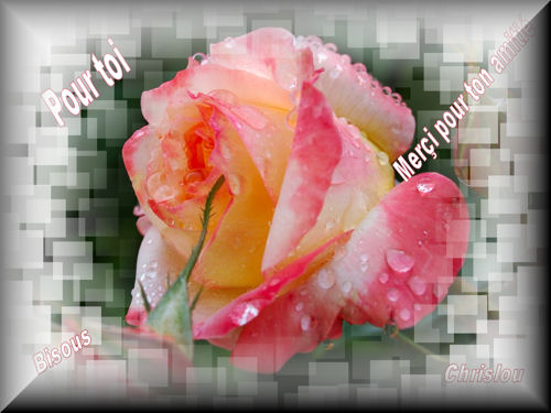 Image h�berg�e par Casimages.com : votre h�bergeur d images simple et gratuit