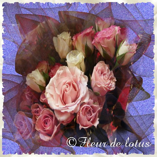 Image hébergée par Casimages.com : votre hébergeur d images simple et gratuit