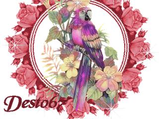 Image h�berg�e par Casimages.com : votre h�bergeur d images simple et gratuit