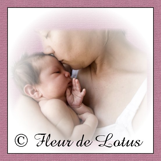 Image hébergée par Casimages.com : votre hébergeur d images simple et gratuit