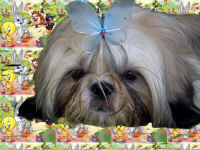 Image h�berg�e par Casimages.com : votre h�bergeur d images simple et gratuit