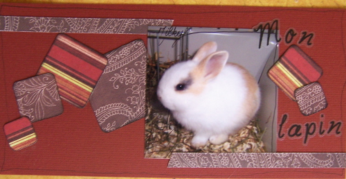 Image hébergée par Casimages.com : votre hébergeur d images simple et gratuit