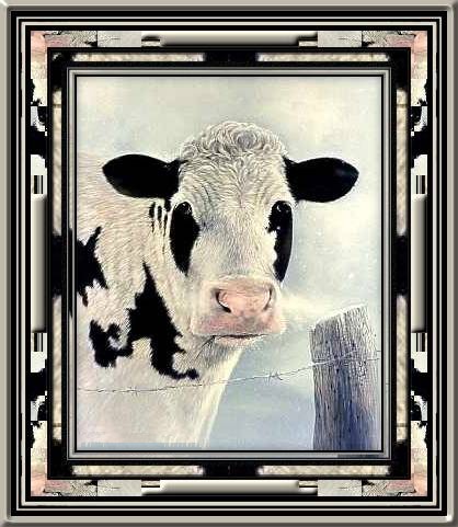 Image hébergée par Casimages.com : votre hébergeur d images simple et gratuit