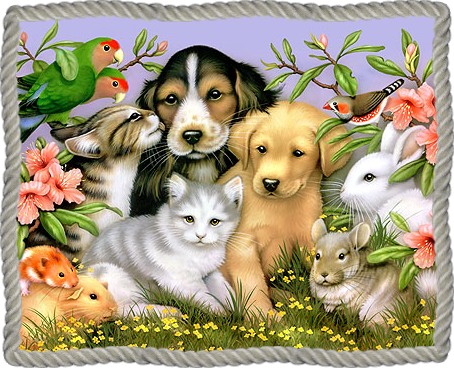Image hébergée par Casimages.com : votre hébergeur d images simple et gratuit