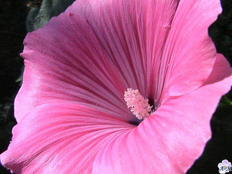 Image hébergée par Casimages.com : votre hébergeur d images simple et gratuit