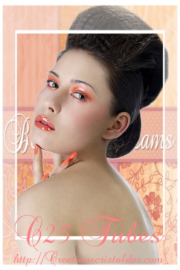 Image h�berg�e par Casimages.com : votre h�bergeur d images simple et gratuit