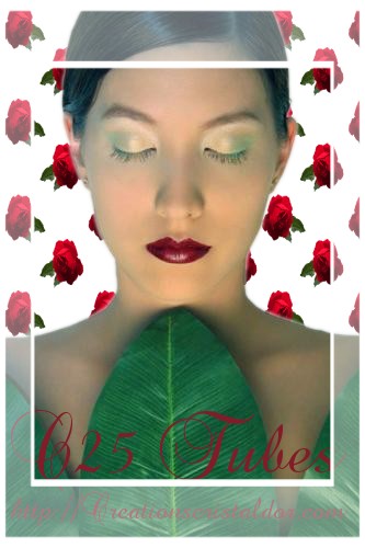 Image h�berg�e par Casimages.com : votre h�bergeur d images simple et gratuit