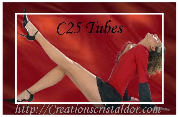 Image h�berg�e par Casimages.com : votre h�bergeur d images simple et gratuit