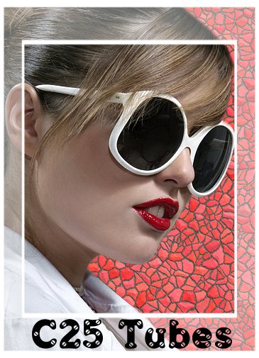 Image h�berg�e par Casimages.com : votre h�bergeur d images simple et gratuit