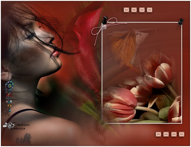 Image hébergée par Casimages.com : votre hébergeur d images simple et gratuit