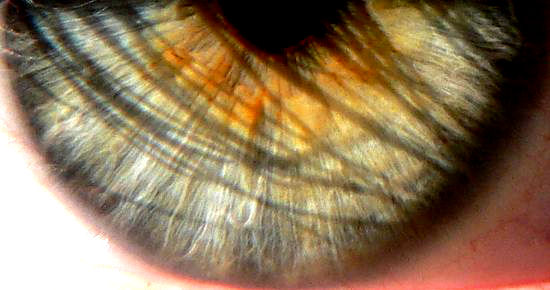 Image hébergée par Casimages.com : votre hébergeur d images simple et gratuit