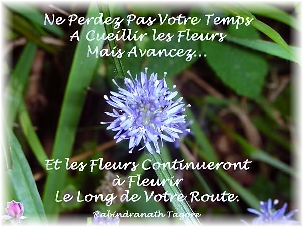 Image hébergée par Casimages.com : votre hébergeur d images simple et gratuit