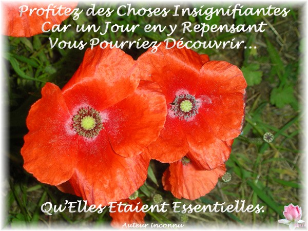 Image hébergée par Casimages.com : votre hébergeur d images simple et gratuit
