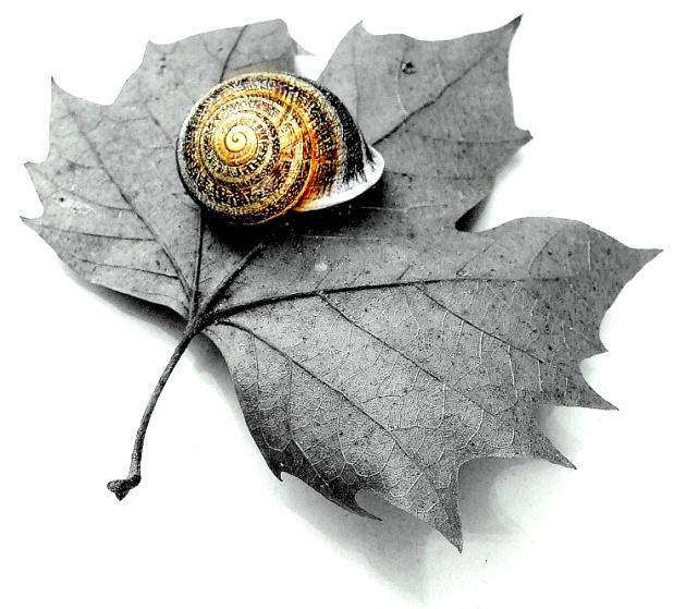 Image hébergée par Casimages.com : votre hébergeur d images simple et gratuit