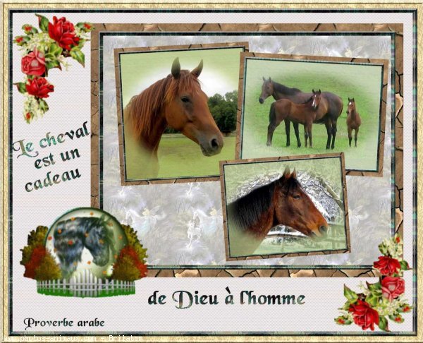 Image hébergée par Casimages.com : votre hébergeur d images simple et gratuit