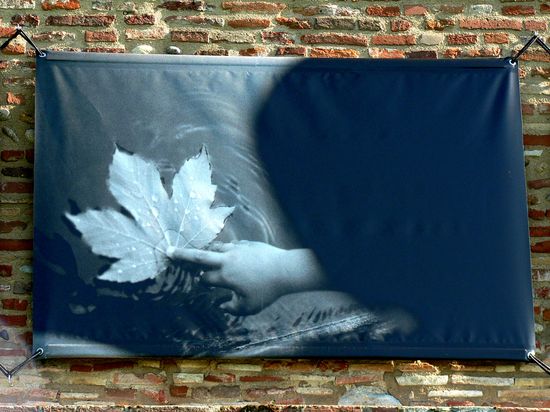 Image h&eacute;berg&eacute;e par Casimages.com : votre h&eacute;bergeur d images simple et gratuit