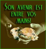 Image h�berg�e par Casimages.com : votre h�bergeur d images simple et gratuit