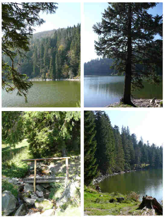 Image hébergée par Casimages.com : votre hébergeur d images simple et gratuit