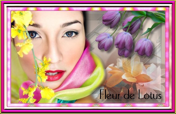 Image hébergée par Casimages.com : votre hébergeur d images simple et gratuit
