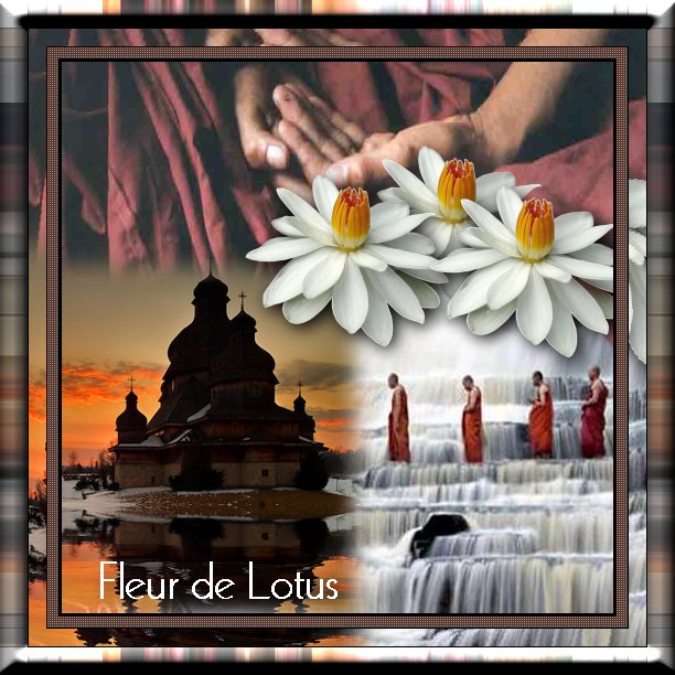 Image hébergée par Casimages.com : votre hébergeur d images simple et gratuit