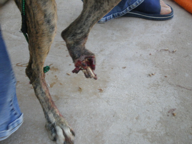 http://www.casimages.com/