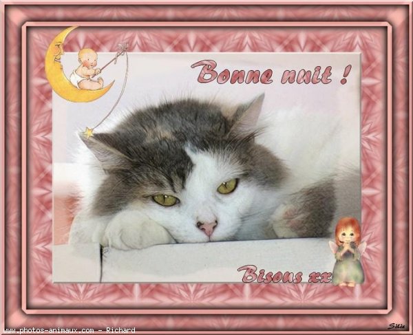 Image h&eacute;berg&eacute;e par Casimages.com : votre h&eacute;bergeur d images simple et gratuit
