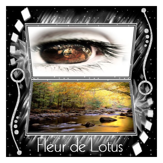 Image hébergée par Casimages.com : votre hébergeur d images simple et gratuit